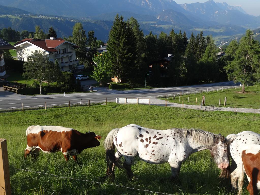 Haus Alpina Ski In & Ski Out Schladming Buitenkant foto