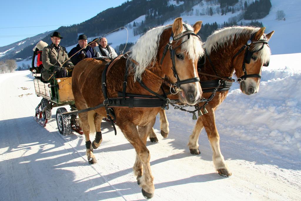 Haus Alpina Ski In & Ski Out Schladming Buitenkant foto