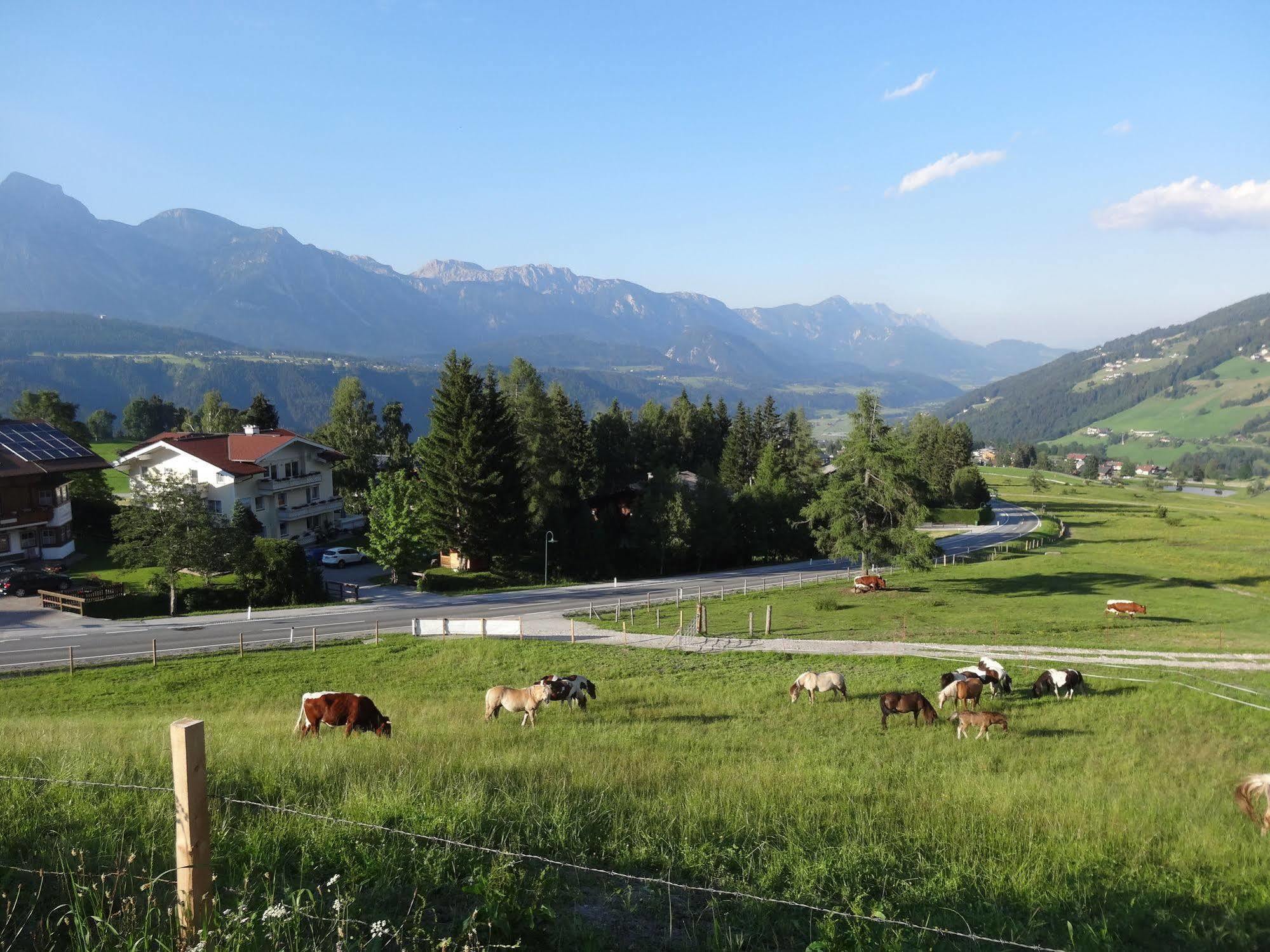 Haus Alpina Ski In & Ski Out Schladming Buitenkant foto