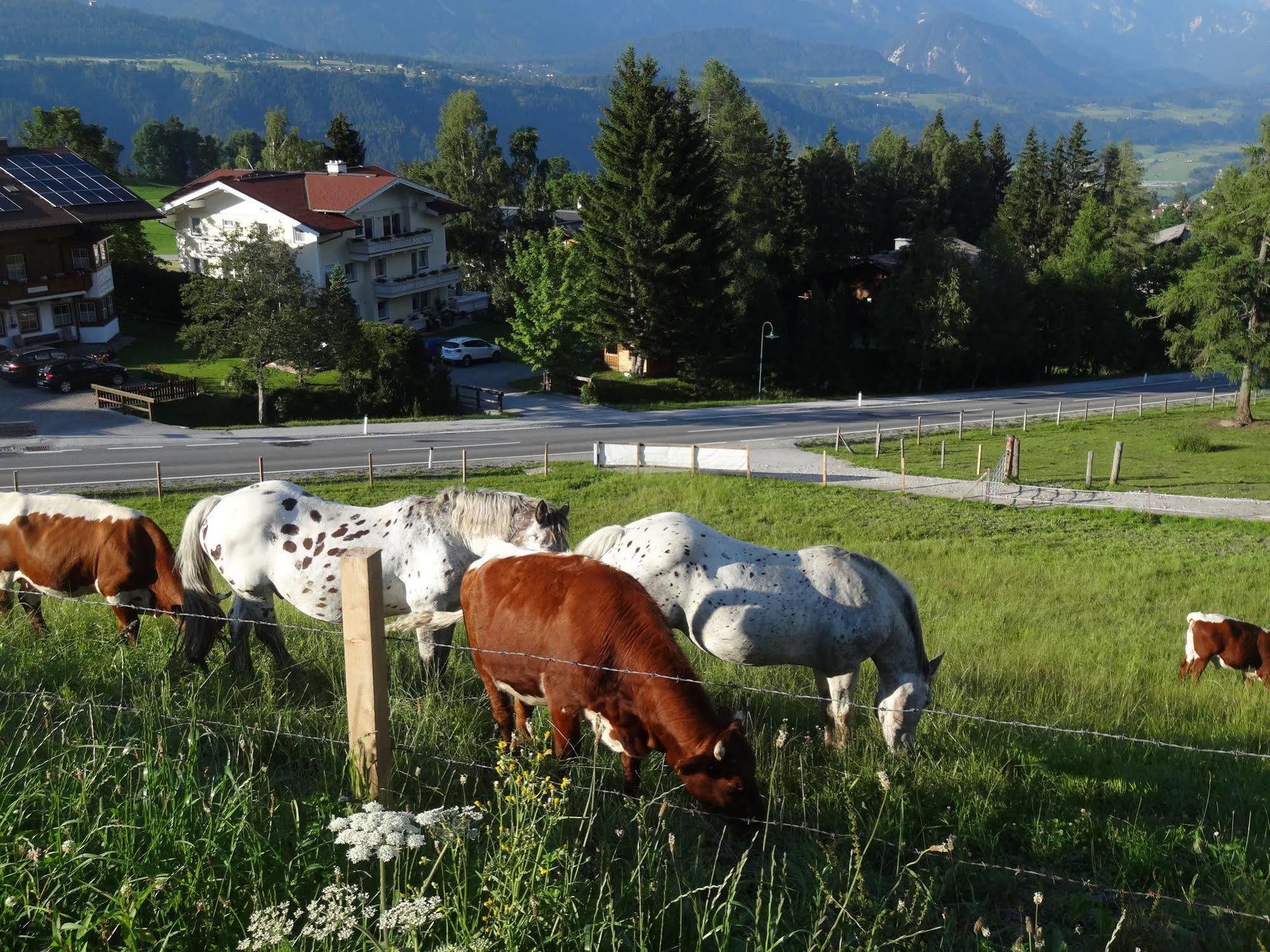 Haus Alpina Ski In & Ski Out Schladming Buitenkant foto