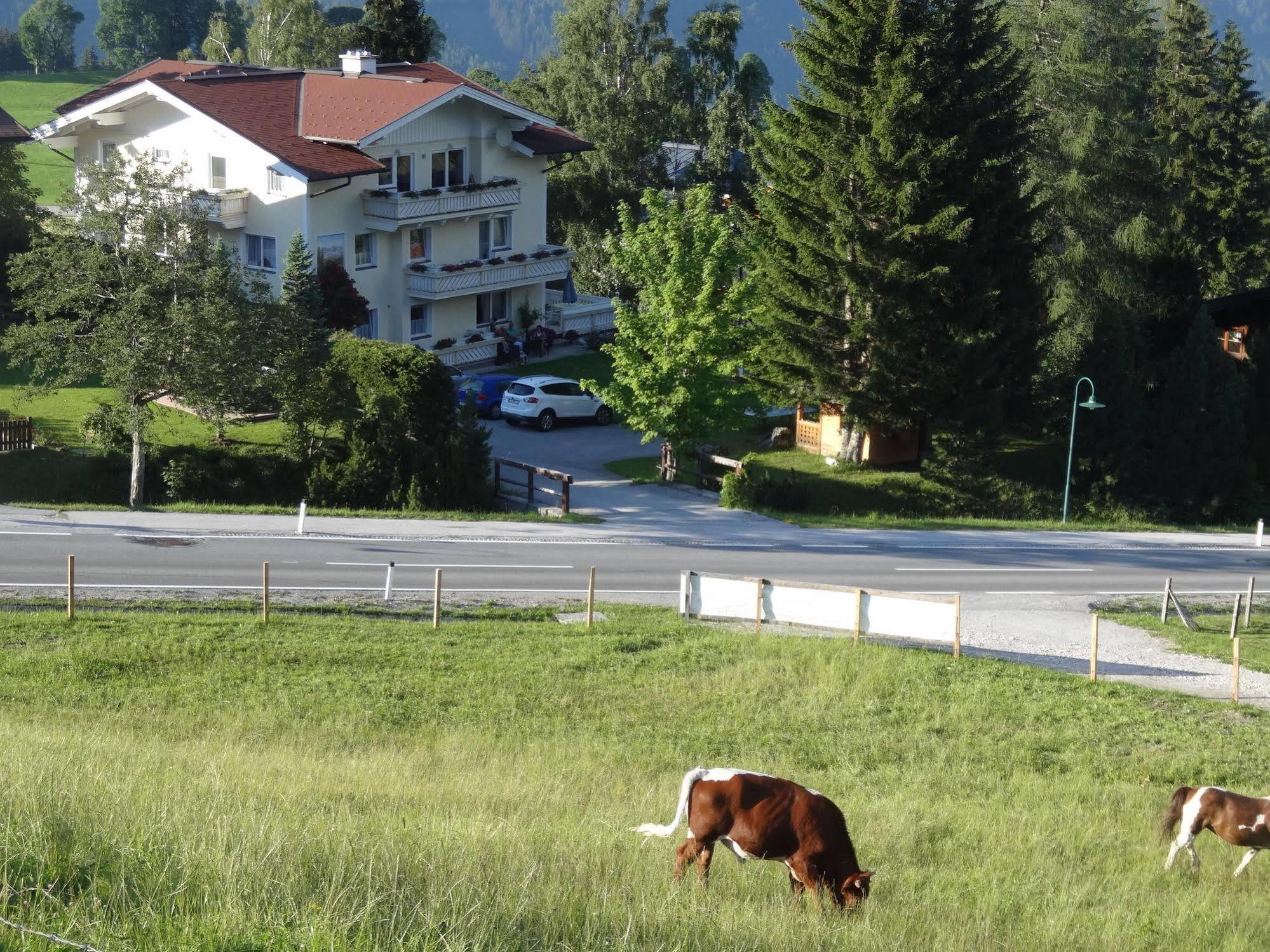 Haus Alpina Ski In & Ski Out Schladming Buitenkant foto